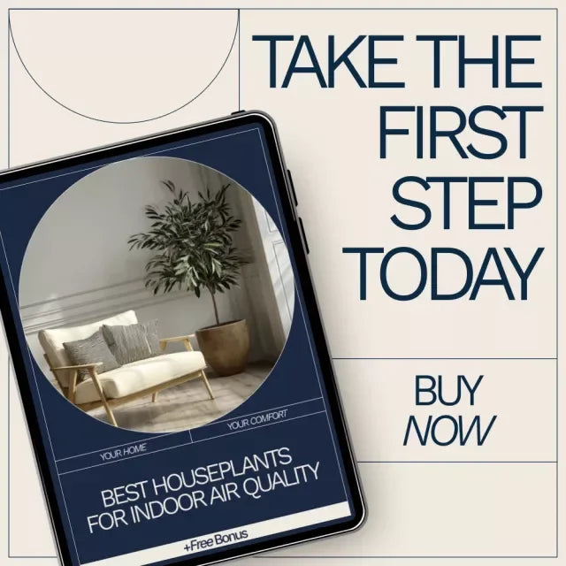 Best Houseplants for Indoor Air Quality Checklist | Easy Air-Purifying Plant Guide for a Healthier Home - DSARD