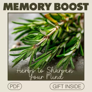 Memory Boost Checklist: Herbs to Sharpen Your Mind - Enhance Focus, Clarity & Mental Power