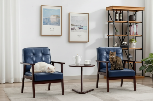 Mid century accent chair set of 2 in faux leather styled in a modern living room