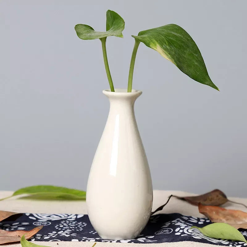 Ceramic Mini Desktop Vase – Cute Candy Color Hydroponic Flower Pot - DSARD
