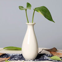 Ceramic Mini Desktop Vase – Cute Candy Color Hydroponic Flower Pot