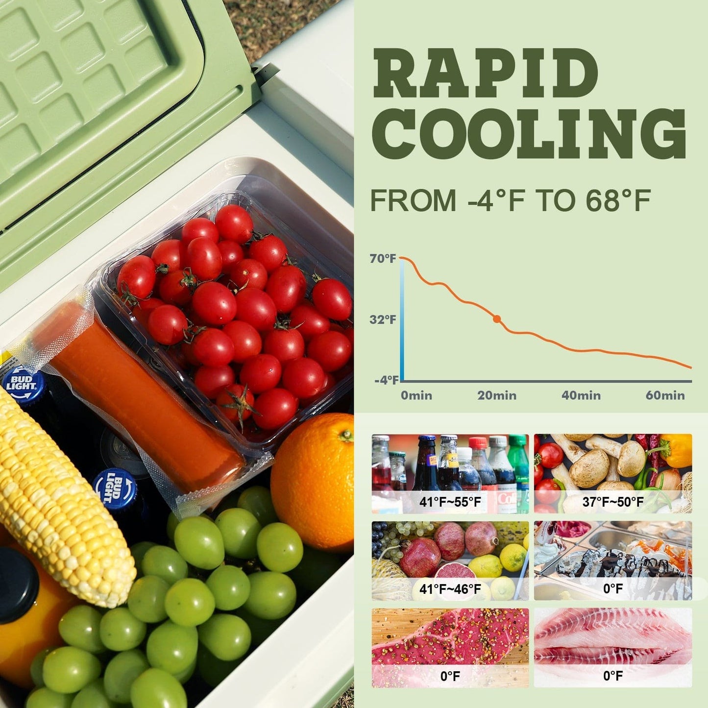 DSARD Ultra-Portable 12V Car Freezer