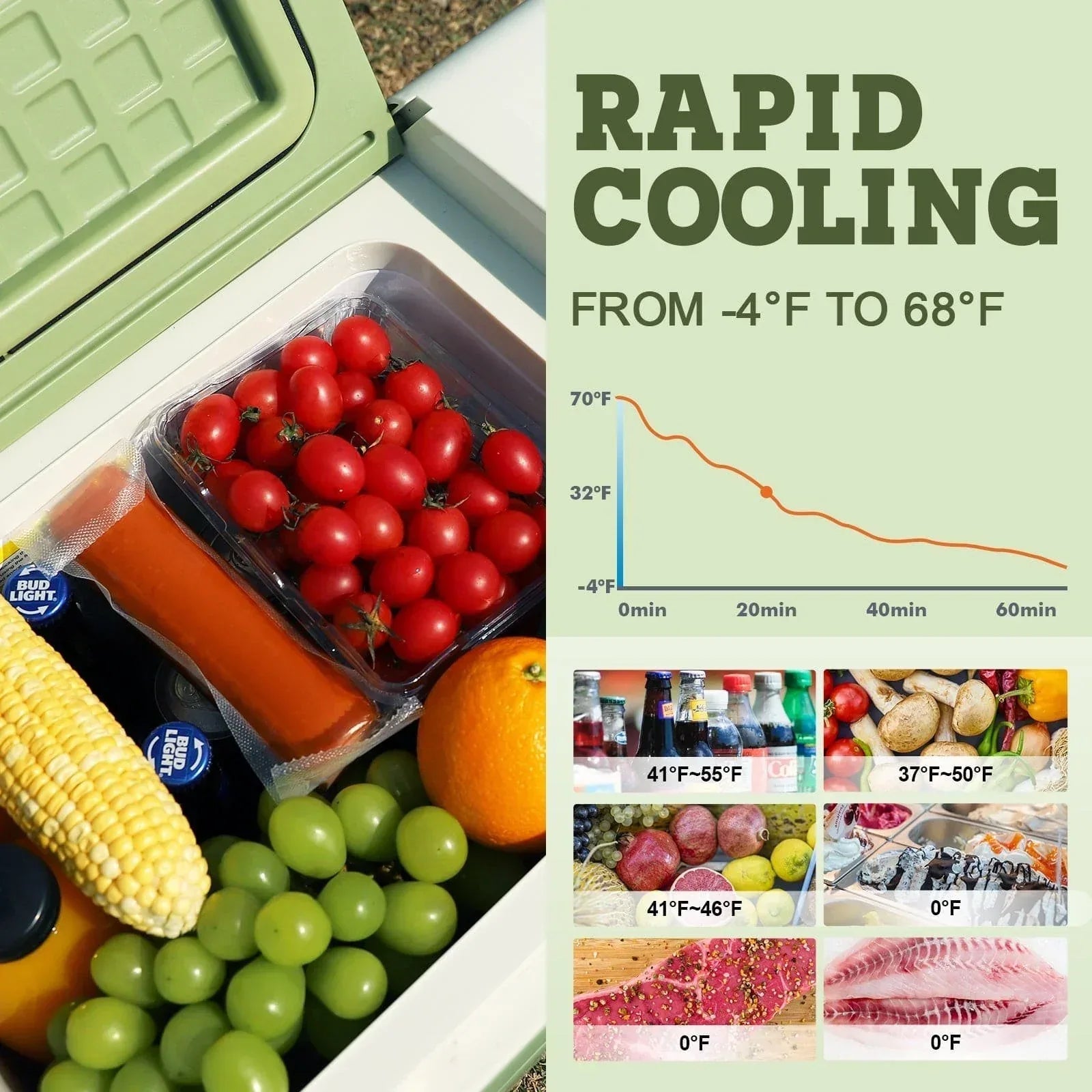 DSARD Ultra-Portable 12V Car Freezer - DSARD