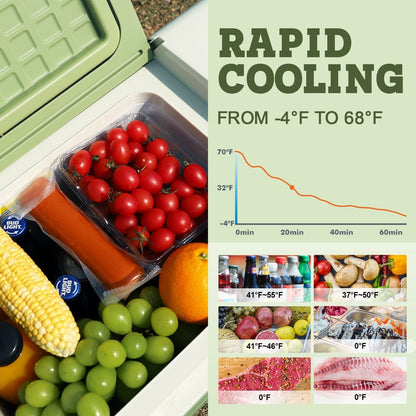 DSARD Ultra-Portable 12V Car Freezer