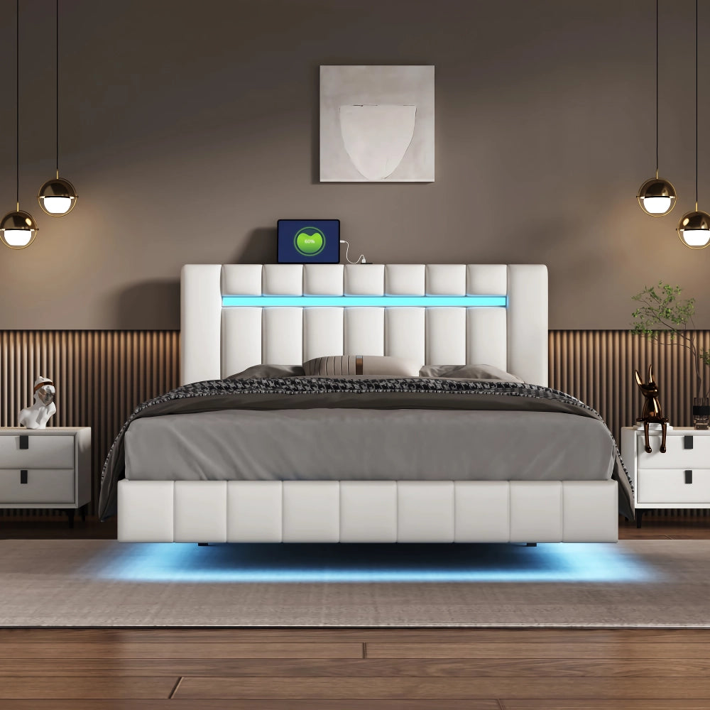 Queen Size LED Upholstered Platform Bed Frame with USB Charging - DSARD