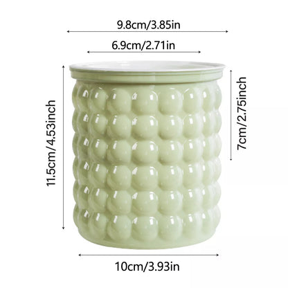 Self-Watering Transparent Plastic Plant Pot