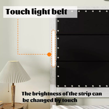 Queen Bed Frame with Upholstered Headboard, Storage Drawers & Adjustable LED Lights - DSARD