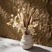 Ceramic Conch Vase Wabi Sabi Tabletop Decoration - DSARD
