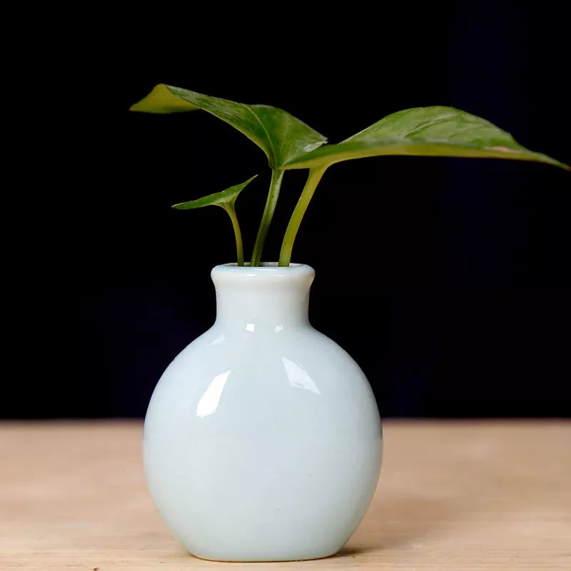 Ceramic Mini Flower Vase for Home Garden and Office Decoration