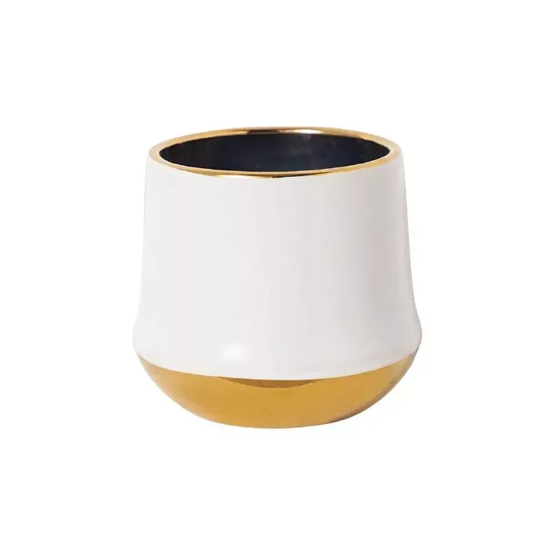 Electroplated Golden Ceramic Flower Pot - DSARD