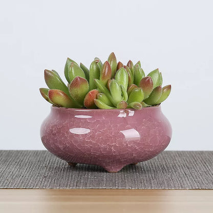 Mini Ceramic Flower Pots for Succulents, Bonsai & Juicy Plants