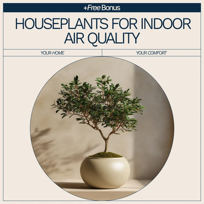 Best Houseplants for Indoor Air Quality Checklist | Easy Air-Purifying Plant Guide for a Healthier Home