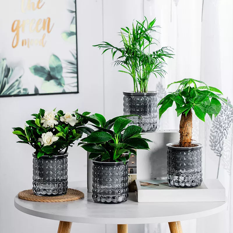 Self-Watering Transparent Plastic Plant Pot