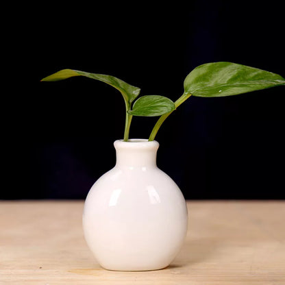 Ceramic Mini Flower Vase for Home Garden and Office Decoration