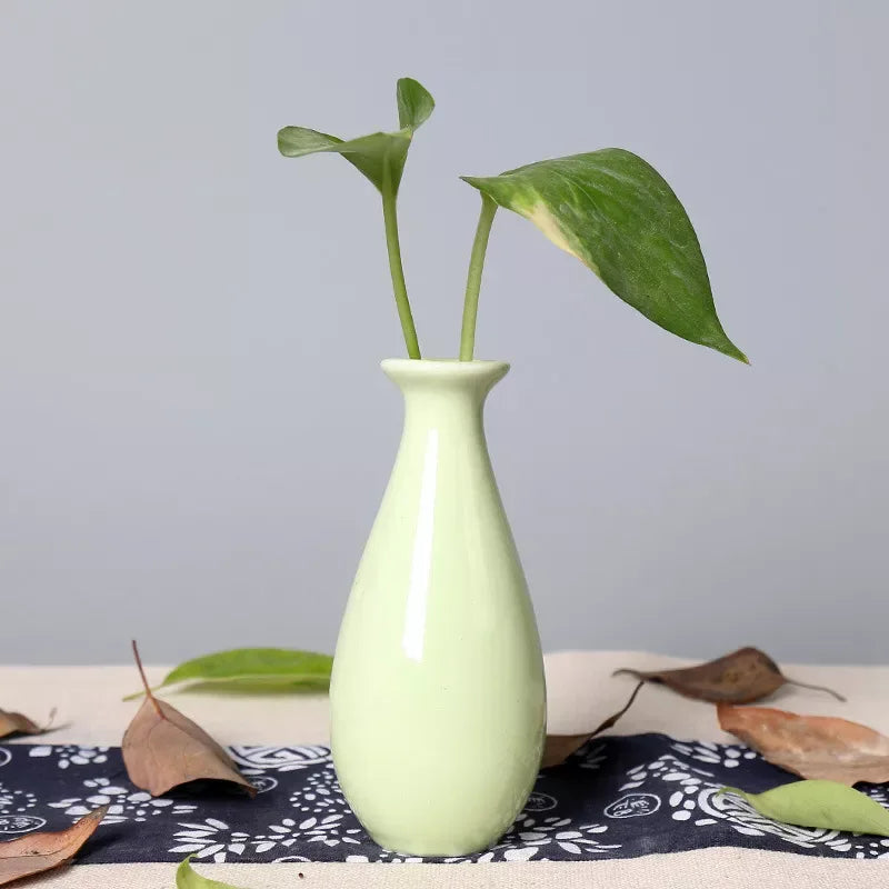 Ceramic Mini Desktop Vase – Cute Candy Color Hydroponic Flower Pot - DSARD