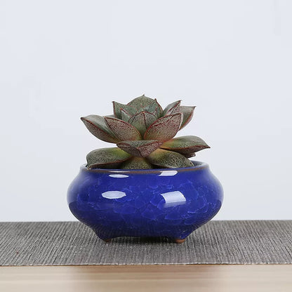 Mini Ceramic Flower Pots for Succulents, Bonsai & Juicy Plants