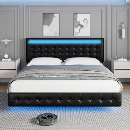 Bed with LED Lights - DSARD