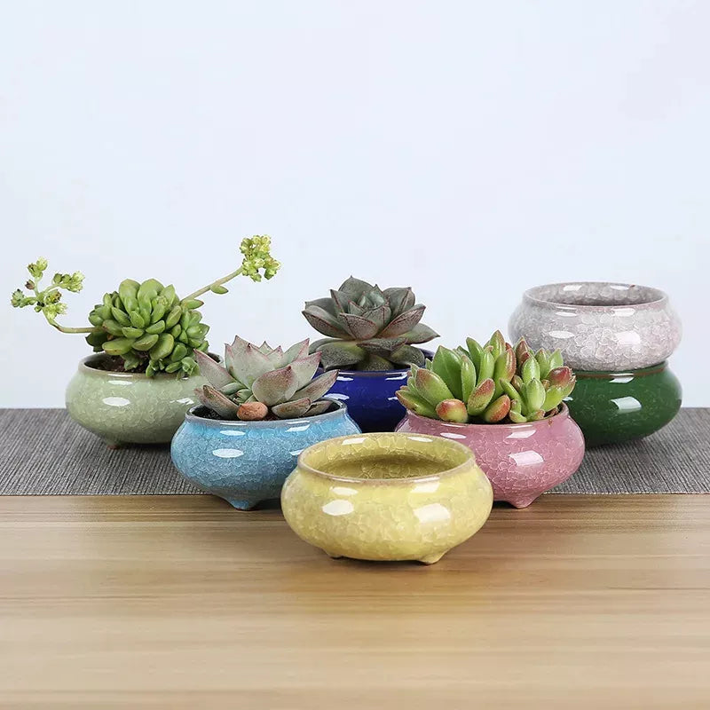 Mini Ceramic Flower Pots for Succulents, Bonsai & Juicy Plants