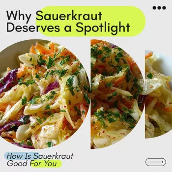 Why Sauerkraut Deserves a Spot on Your Plate Every Day: A Guide on How is Sauerkraut Good for You, Gut Health, Probiotics & Daily Nutrition