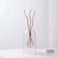 Elegant Double Glass Hydroponic Vase – Minimalist Tabletop Décor - DSARD