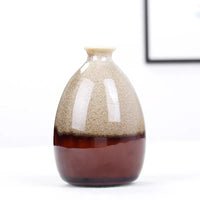 Nordic Handmade Ceramic Desktop Vase for Hydroponics & Dried Flowers