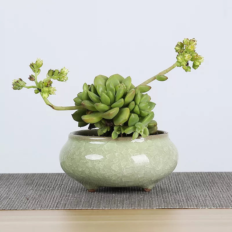 Mini Ceramic Flower Pots for Succulents, Bonsai & Juicy Plants