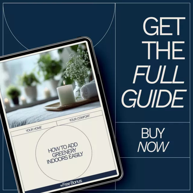 How to Add Greenery Indoors Easily – Beginner-Friendly Indoor Plant Guide, Simple Home Greenery eBook, Low Maintenance Plant Styling & Care