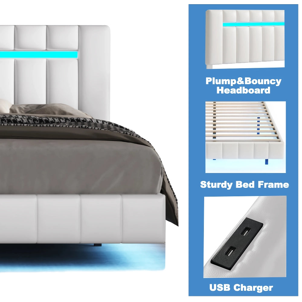 Queen Size LED Upholstered Platform Bed Frame with USB Charging - DSARD