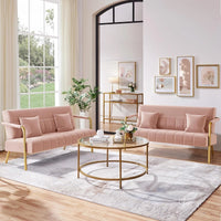 Modern Velvet Loveseat with Gold-Tone Metal Accents - DSARD