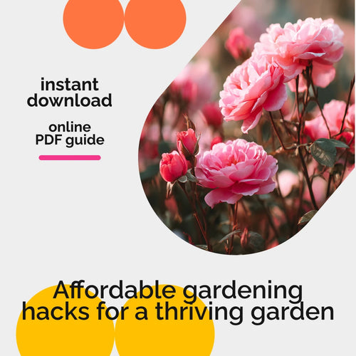 Garden Hacks That Won’t Break the Bank: Budget-Friendly Gardening Guide for Thriving Gardens