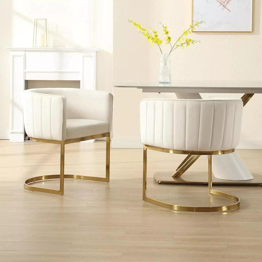 Modern Velvet Dining Chairs Set of 4 - DSARD