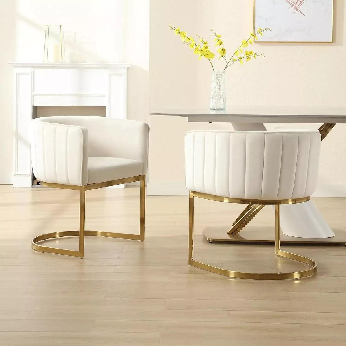 Modern Velvet Dining Chairs Set of 4 - DSARD