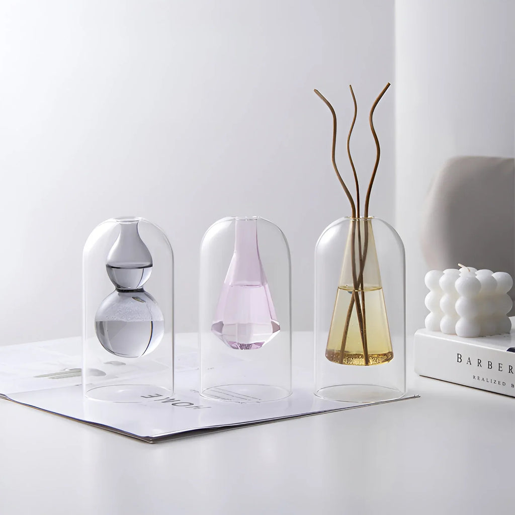 Elegant Double Glass Hydroponic Vase – Minimalist Tabletop Décor - DSARD