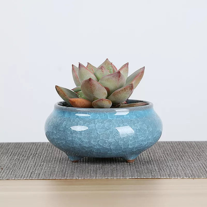 Mini Ceramic Flower Pots for Succulents, Bonsai & Juicy Plants