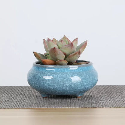 Mini Ceramic Flower Pots for Succulents, Bonsai & Juicy Plants