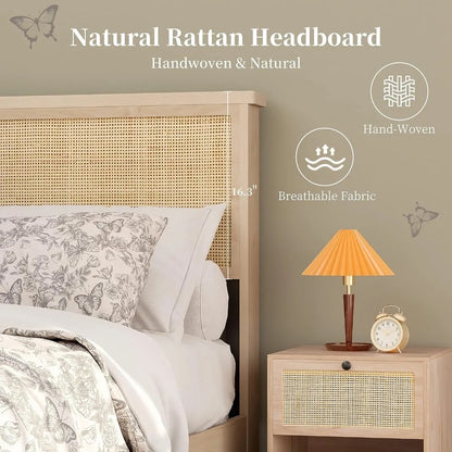 Natural Rattan Queen Bed Frame - DSARD