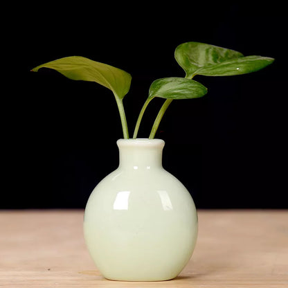 Ceramic Mini Flower Vase for Home Garden and Office Decoration