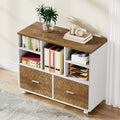 2-Drawer Wood Lateral File Cabinet with Shelves and Rolling Wheels - DSARD