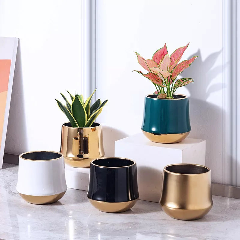 Electroplated Golden Ceramic Flower Pot - DSARD