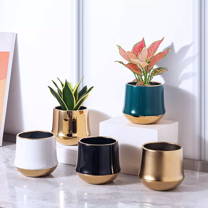 Electroplated Golden Ceramic Flower Pot