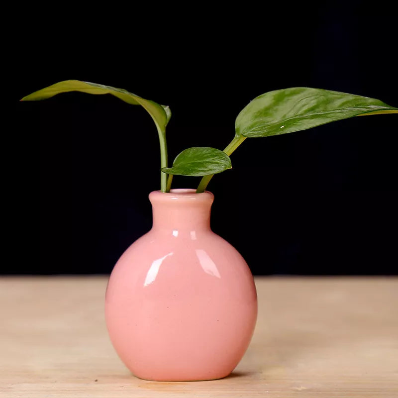 Ceramic Mini Flower Vase for Home Garden and Office Decoration
