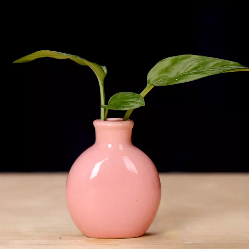Ceramic Mini Flower Vase for Home Garden and Office Decoration - DSARD