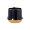 Electroplated Golden Ceramic Flower Pot - DSARD