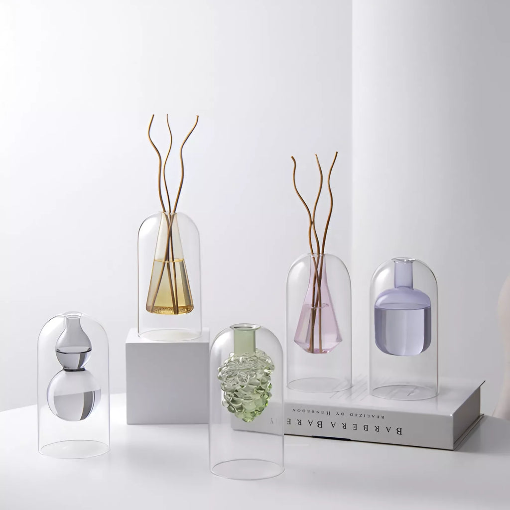 Elegant Double Glass Hydroponic Vase – Minimalist Tabletop Décor - DSARD