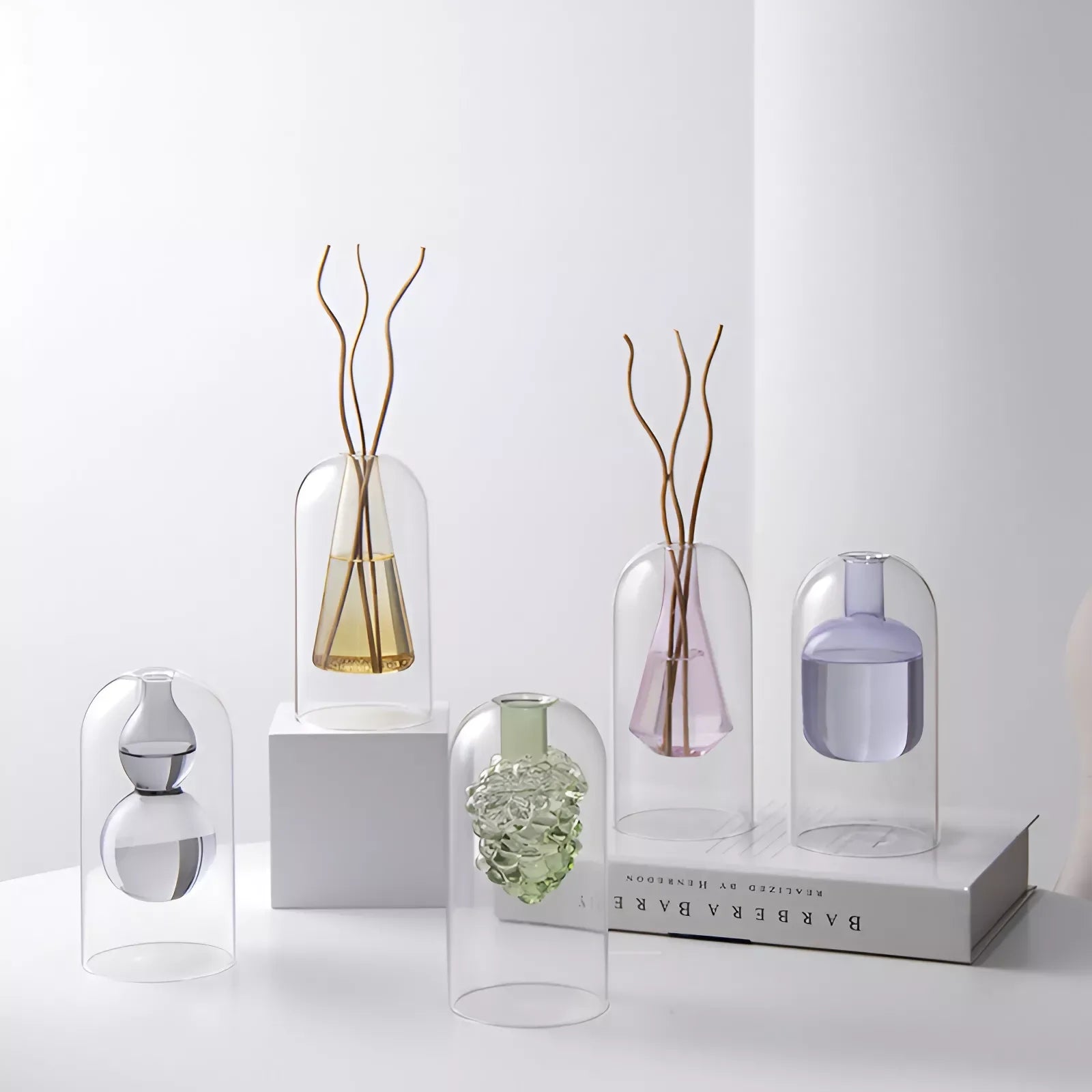 Elegant Double Glass Hydroponic Vase – Minimalist Tabletop Décor - DSARD