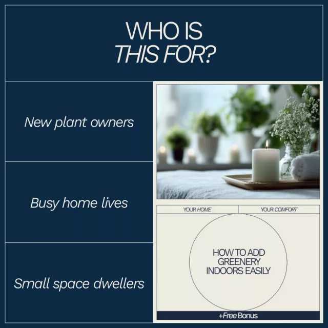 How to Add Greenery Indoors Easily – Beginner-Friendly Indoor Plant Guide, Simple Home Greenery eBook, Low Maintenance Plant Styling & Care