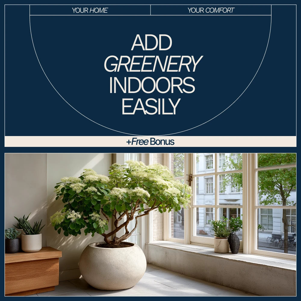 How to Add Greenery Indoors Easily – Beginner-Friendly Indoor Plant Guide, Simple Home Greenery eBook, Low Maintenance Plant Styling & Care