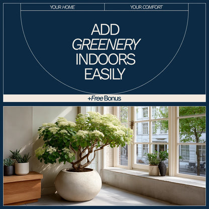 How to Add Greenery Indoors Easily – Beginner-Friendly Indoor Plant Guide, Simple Home Greenery eBook, Low Maintenance Plant Styling & Care