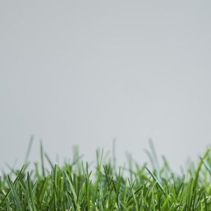 DSARD Efficient & Eco-Friendly Cordless Lawn Mower with LED Headlights, Dual Batteries & Rapid Charger